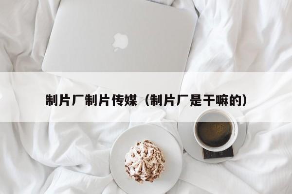 制片厂制片传媒（制片厂是干嘛的）