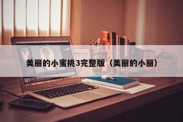 美丽的小蜜挑3完整版（美丽的小丽）