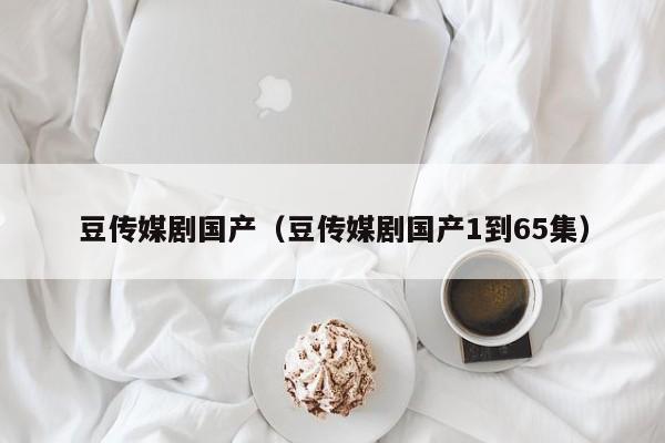 豆传媒剧国产（豆传媒剧国产1到65集）