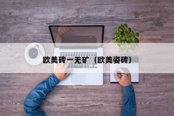 欧美砖一无矿（欧美姿砖）