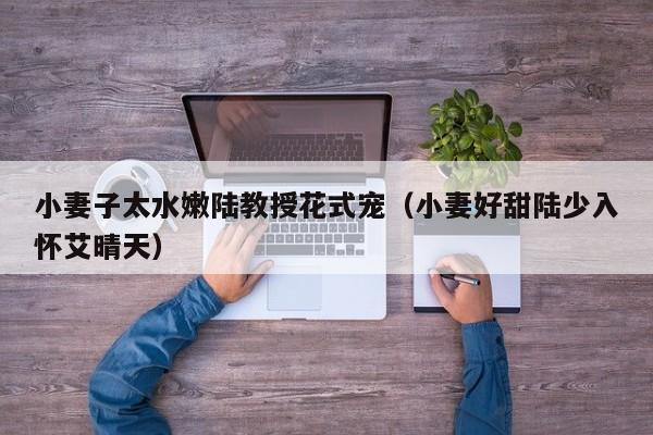 小妻子太水嫩陆教授花式宠（小妻好甜陆少入怀艾晴天）