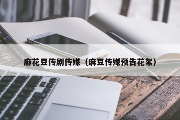 麻花豆传剧传媒（麻豆传媒预告花絮）