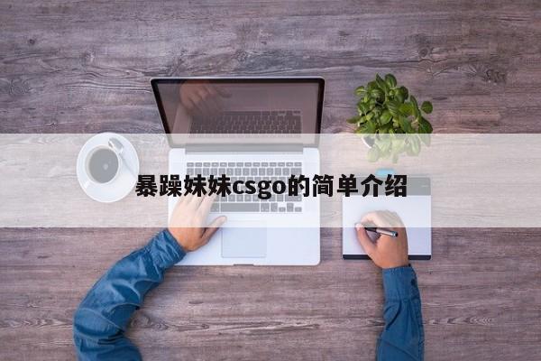 暴躁妹妹csgo的简单介绍
