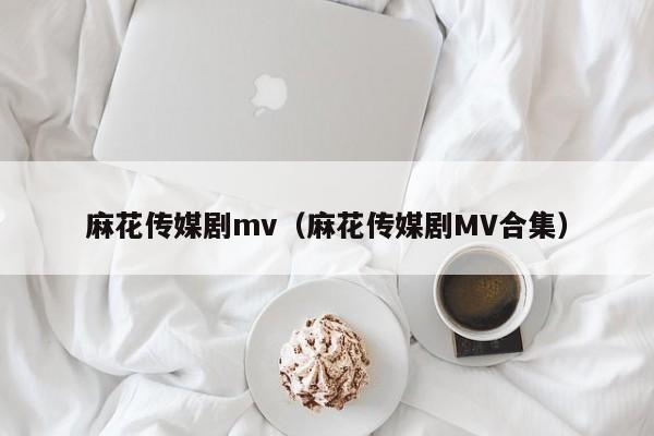 麻花传媒剧mv（麻花传媒剧MV合集）